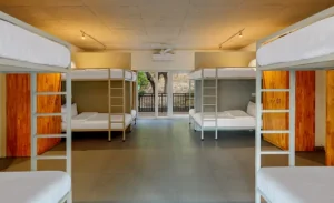 Mixed (Boys/ Girls) Bunk Bedzzz